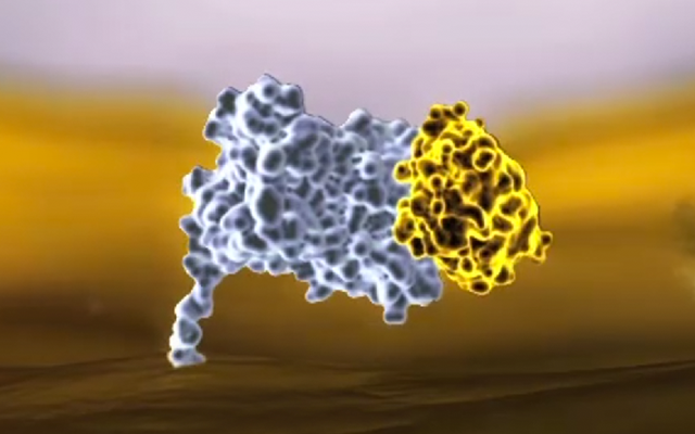 MYRBETRIQ Mechanism of Action Step 4: MYRBETRIQ can increase blood pressure