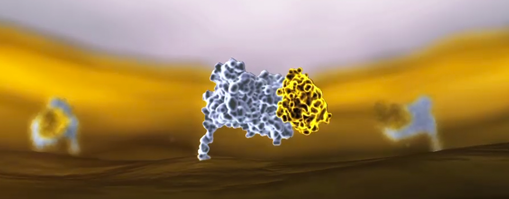 MYRBETRIQ Mechanism of Action Step 4: MYRBETRIQ can increase blood pressure